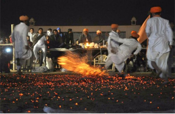 Dangal and sankranti pics from india