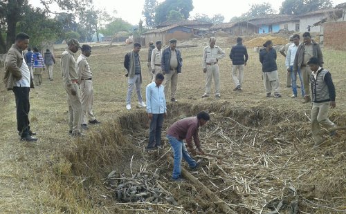 wood extraction from house