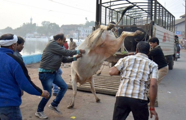 different photos clicked by patrika photographers