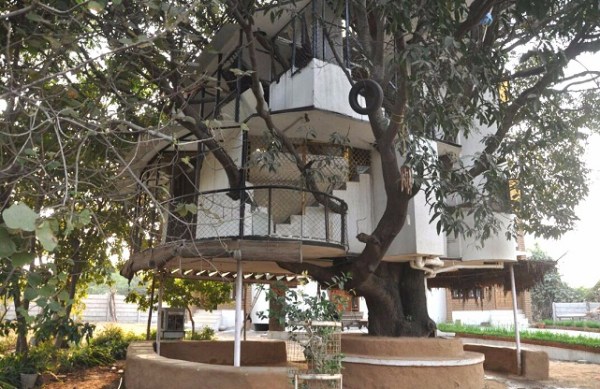 india different photos click by patrika photograph