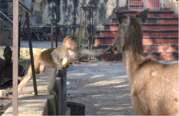 Different mood pics from around the country