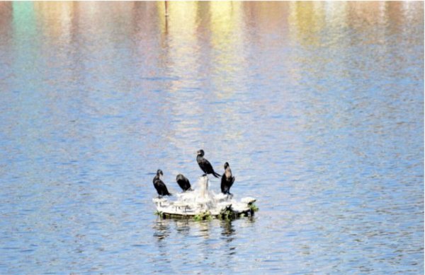 Different mood pics from around the country