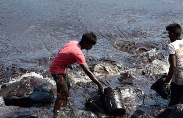 Basant panchami pics from around the country