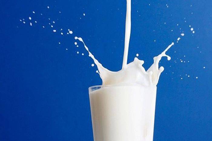 ajmer dairy not increase milk rate till holy