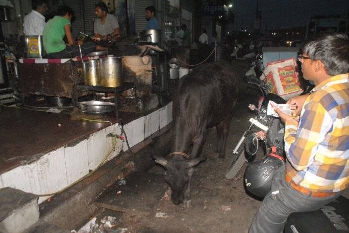 Kota Kachori is frying among the dirt
