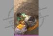 woman burnt alive