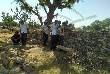 woman burnt alive