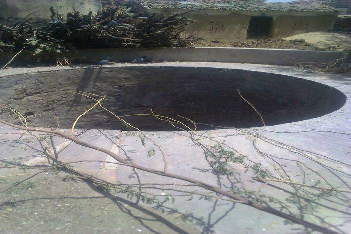 Thorns on the roadside wells in Banjarii.