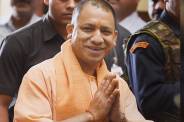 yogi