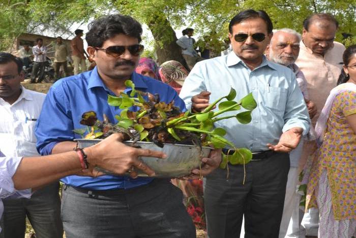 Kota's Collector-SP transferred