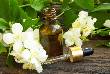 Amazing Benefits Of Jasmine For Health