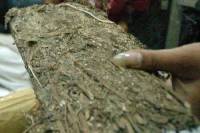 ganja smuggler arrested 