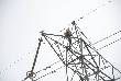 person commit suicide on high tension line police 