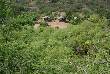 beautiful pics of ajmer