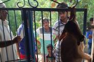 Video : Banswara : Panther killed calf 