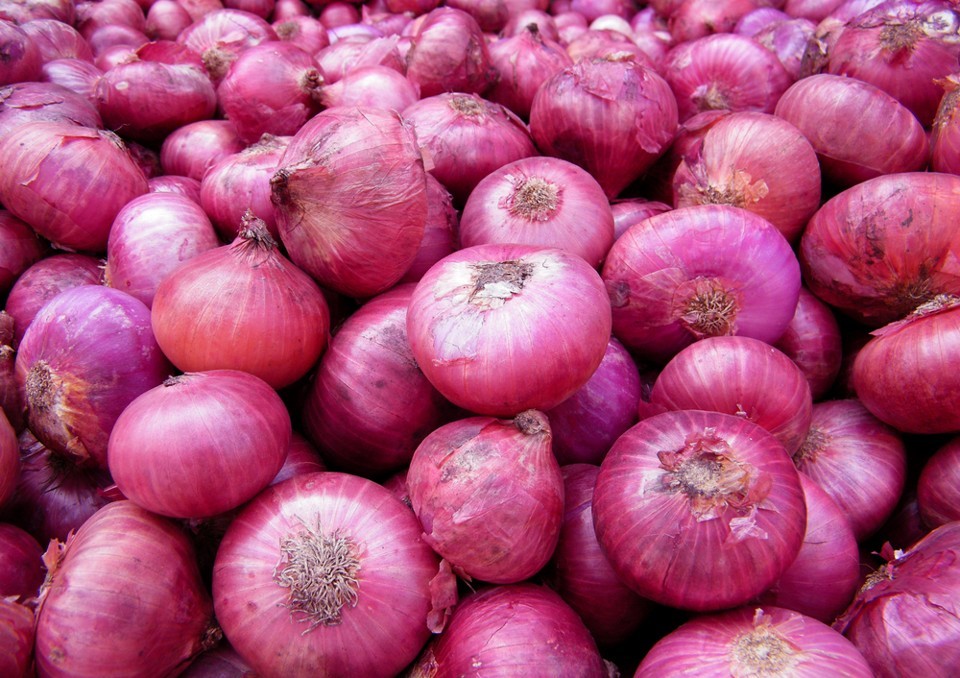 onion gwalior