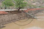 barmer