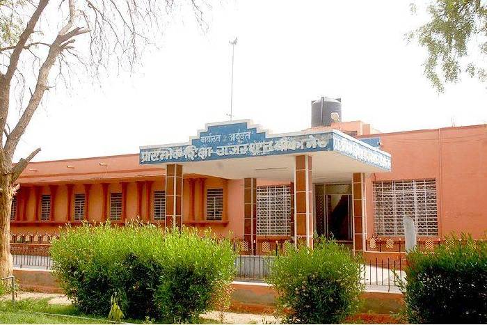 elementary education