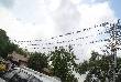 beautiful pics of birds