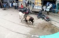 alirajpur