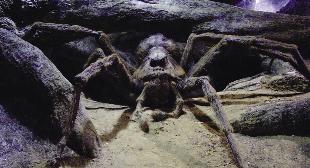 eragog spider