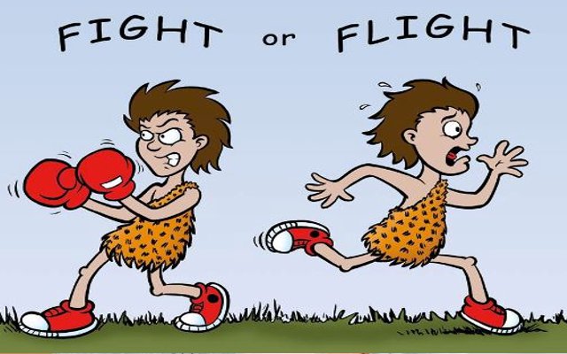 Flight syndrome