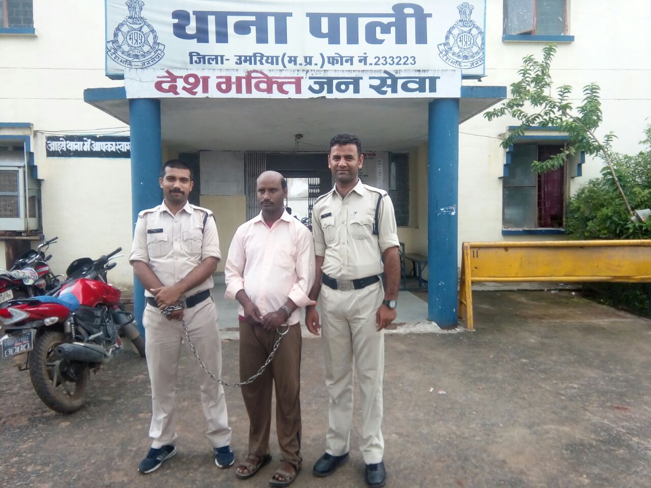 Vicious thief came under the arrest of the Pali po