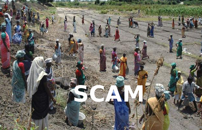 IAS officer guilty in MGNREGA scam