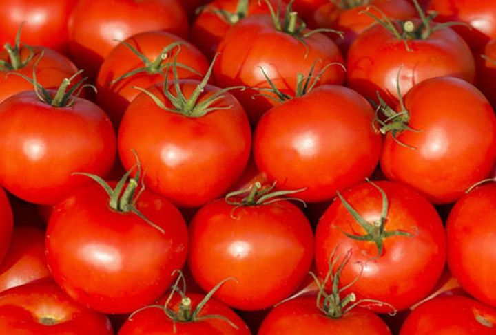 tomato-showing-rs-110-kg-in-ratlam