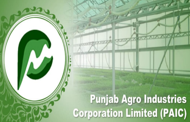 punjab agro foodgrains corporation limited