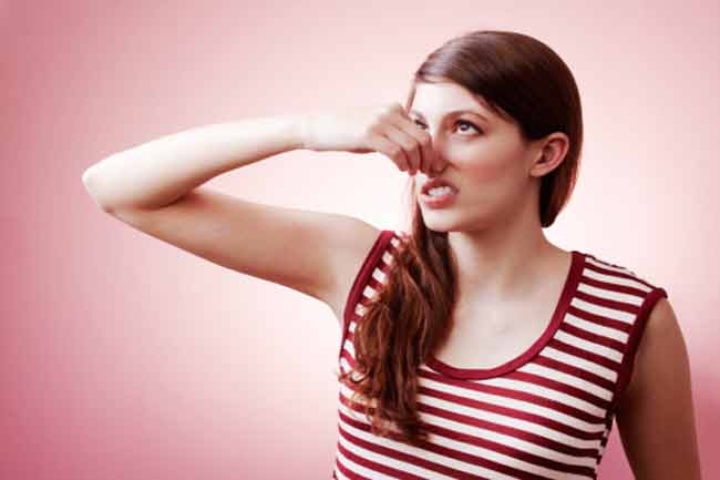 These remedies will get rid of the odor of the hou