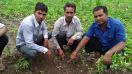 Soyabean crop health, siraghat, what to go?