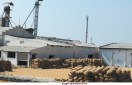 Rice millers do not made treatment plant
