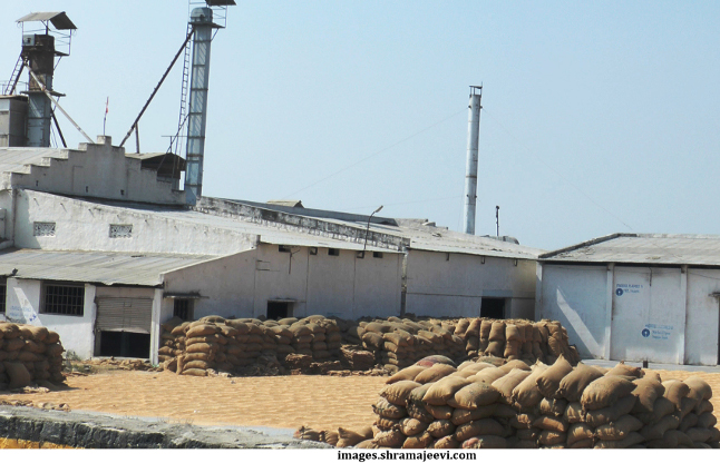 Rice millers do not made treatment plant