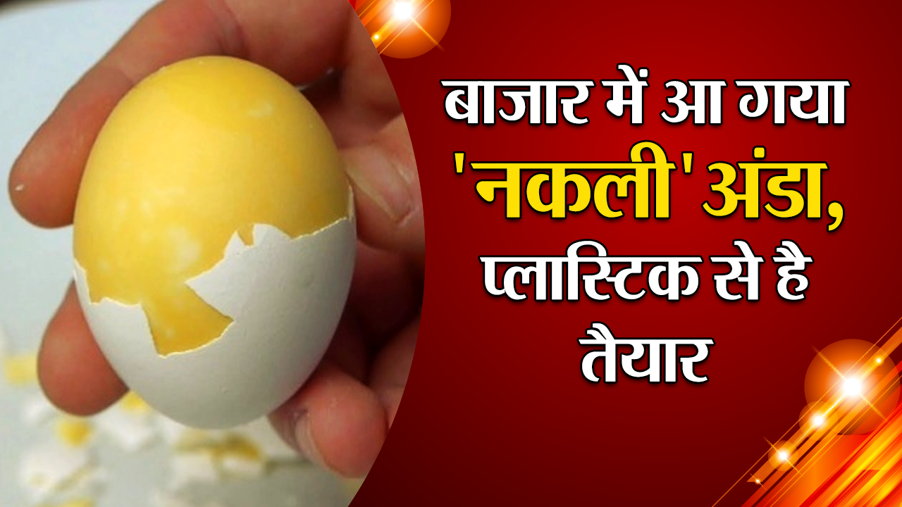 बाजार में आ गया ‘नकली’ अंडा, प्लास्टिक से है तैयार