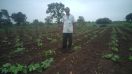 khandwa, patrika agrotek, Farmer made farming lab