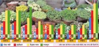 prices of vegetables, Increased prices of vegetables, Vegetable News, Fruit Market In Kota, Vegetable Market In Kota, Market Association Kota, Vegetable Market In Rajasthan, Fruit Of Rajasthan, Environment News Kota, Kota News, Kota Patrika, Rajasthan Patrika, Patrika News, कोटा, कोटा पत्रिका, राजस्थान, कोटा सब्जी मंड़ी, कोटा सब्जी एवं फल मंडी