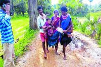 Dornapal Pragnent Women