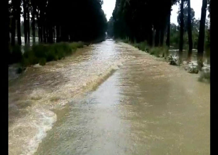 Flood in Balrampur