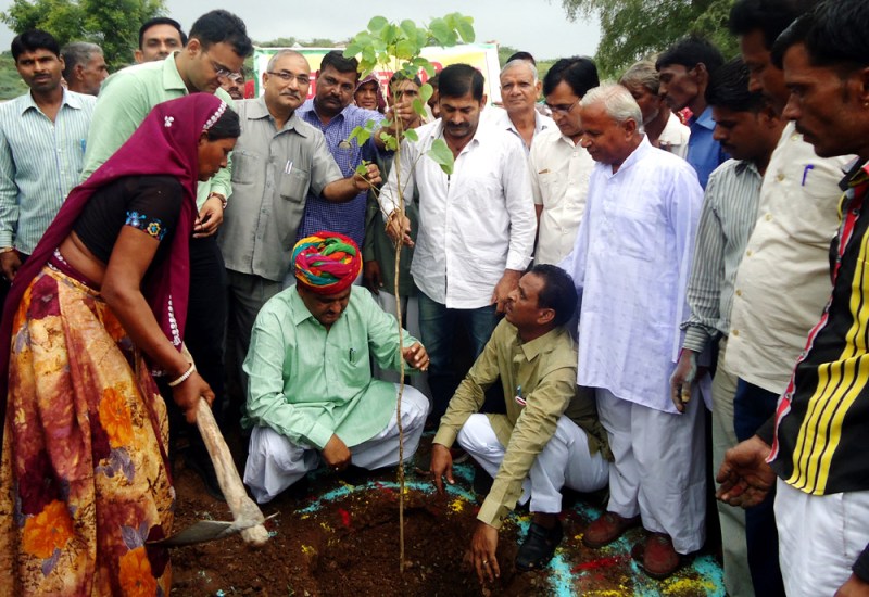 पौधारोपण करते कृषि मंत्री प्रभु लाल सैनी