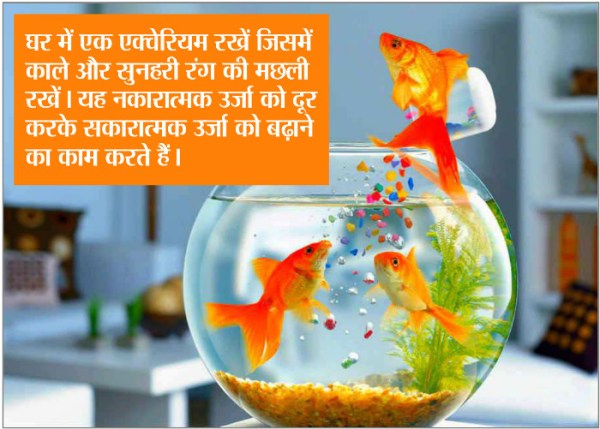 vastu shastra, vastu tips, home vastu, as per vastu, Vastu shastra, Shastra, House, Hindi, Direction 