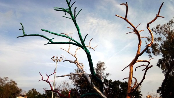 photos of the beauty of indian, photos, hd photo, sexy photo, editor photo, hot photo, Photograph, Photography of Indian Beauty