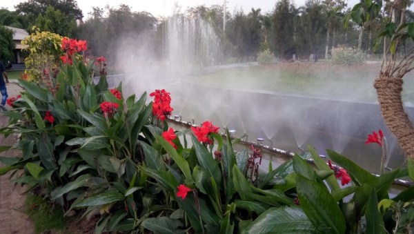 photos of the beauty of indian, photos, hd photo, sexy photo, editor photo, hot photo, Photograph, Photography of Indian Beauty