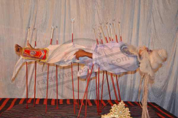 Bhilwara, bhilwara news, Krishna birthday in bhilwara,Latest news in bhilwara, Bhilwara news in hindi