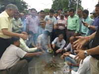 amrapali group buyers