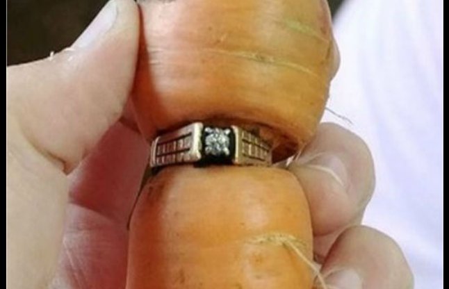 ring in carrot