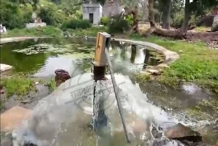 Ground Water, Ground Water Overflow, Water Overflow in Rajasthan, Bheem Sagar Rajasthan, Bagher Rajasthan, Amjhar Temple Jhalawar, Rajasthan patrika, Kota Patrika, Patrika news, kota News, जलधार, कुदरत का करिश्मा, राजस्थान पत्रिका, पत्रिका न्यूज, भारत पत्रिका