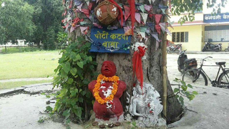 Choti Katwa Baba Statue in BHU