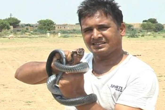 man is catching dangerous snakes and saving them