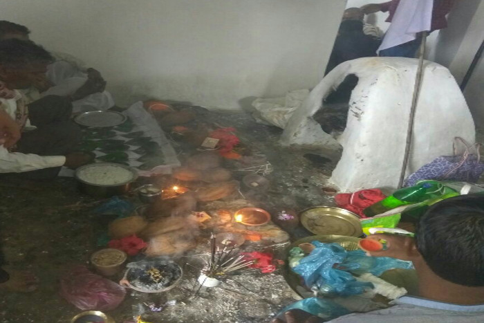 पोला पर्व पर दिखा उत्साह : पूजा-अर्चना कर नगरवासियों के लिए मांगी खुशियां